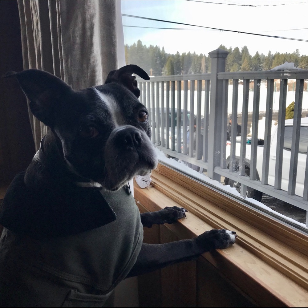 Meet your Posher, Kris